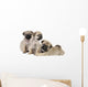 Three Pug Puppies Wall Decal