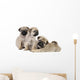 Three Pug Puppies Wall Decal