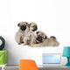 Three Pug Puppies Wall Decal
