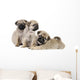 Three Pug Puppies Wall Decal