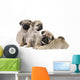 Three Pug Puppies Wall Decal