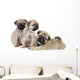 Three Pug Puppies Wall Decal