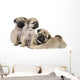 Three Pug Puppies Wall Decal