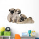 Three Pug Puppies Wall Decal