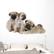 Three Pug Puppies Wall Decal