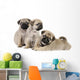 Three Pug Puppies Wall Decal