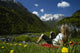 Austrian Alps Wall Decal