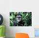 Blue Monkey Wall Mural