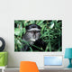blue monkey Wall Mural