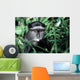 blue monkey Wall Mural