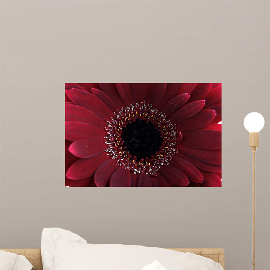 Red Flower Wall Mural