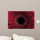 Red Flower Wall Mural