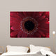 Red Flower Wall Mural