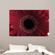 Red Flower Wall Mural