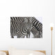 Hum Wall Mural