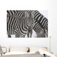 Hum Wall Mural