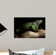 Green Iguana on branch Wall Mural