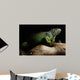 Green Iguana on branch Wall Mural