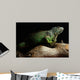 Green Iguana on branch Wall Mural