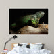 Green Iguana on branch Wall Mural