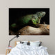 Green Iguana on branch Wall Mural