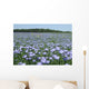 Lin Wall Decal