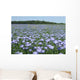 Lin Wall Decal