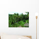 Rice Palms Wall Decal
