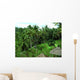Rice Palms Wall Decal
