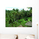 Rice Palms Wall Decal