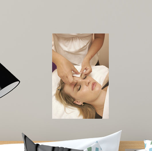 salon Wall Mural