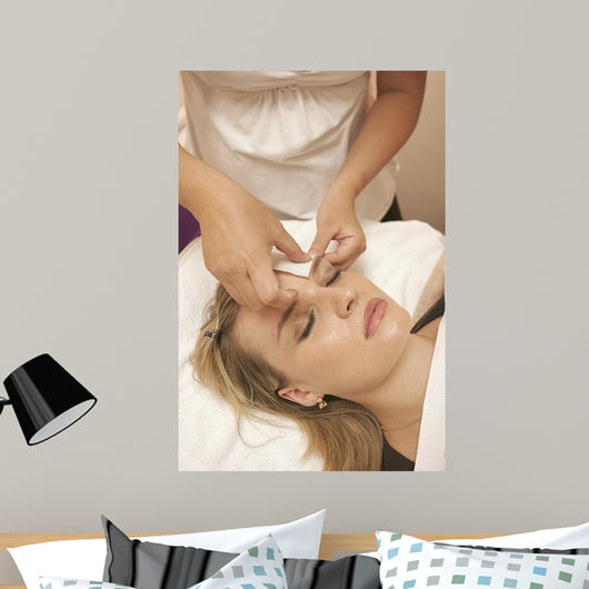 salon Wall Mural