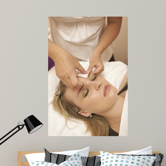 salon Wall Mural