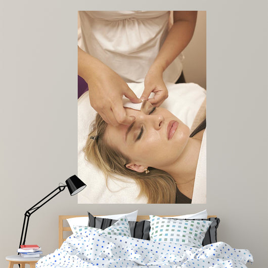 salon Wall Mural