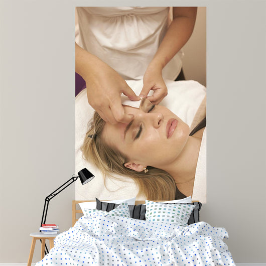 salon Wall Mural