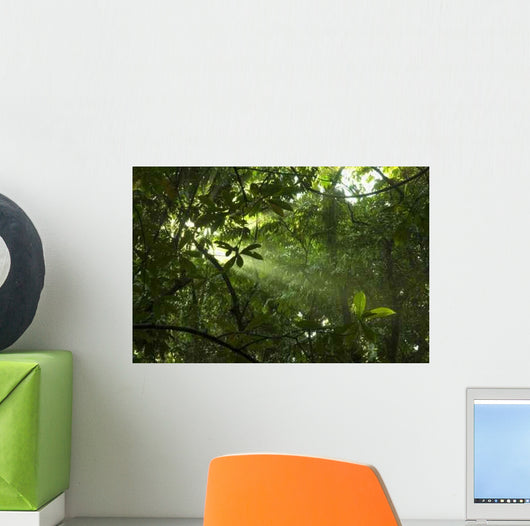 Green Forest with Ray Wall Decal