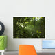 Green Forest with Ray Wall Decal
