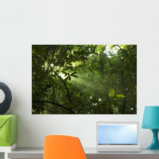 Green Forest with Ray Wall Decal