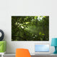 Green Forest with Ray Wall Decal