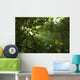 Green Forest with Ray Wall Decal
