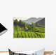 Tea Plantation Cameron Highlands Wall Decal Design 3