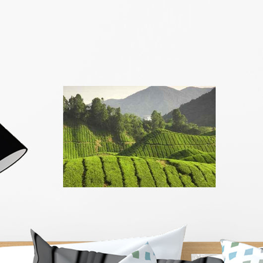 Tea Plantation Cameron Highlands Wall Decal Design 3