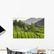 Tea Plantation Cameron Highlands Wall Decal Design 3