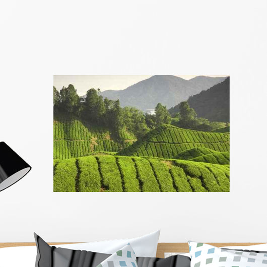Tea Plantation Cameron Highlands Wall Decal Design 3