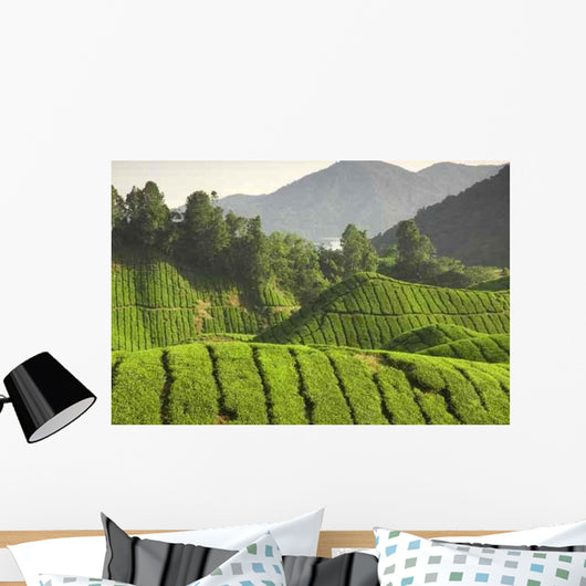 Tea Plantation Cameron Highlands Wall Decal Design 3