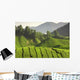 Tea Plantation Cameron Highlands Wall Decal Design 3