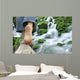 Randonnee Pied Nus Riviere Wall Decal