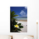 Tiare White Sand Beach Wall Decal