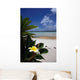 Tiare White Sand Beach Wall Decal