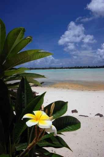 Tiare White Sand Beach Wall Decal